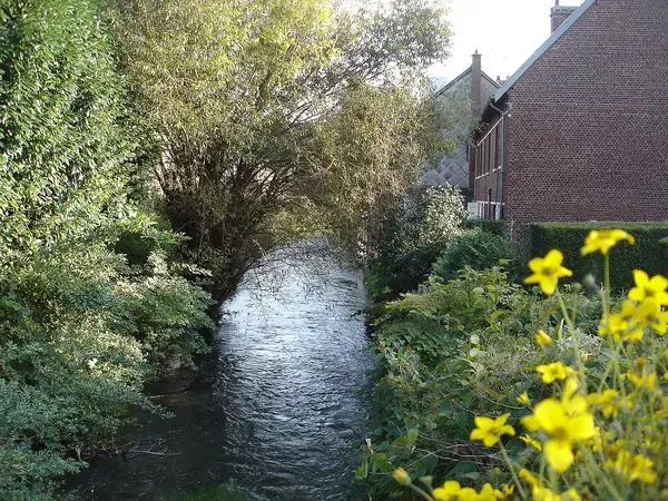 Borne de Recharge 76 Installateur borne de recharge Déville-lès-Rouen